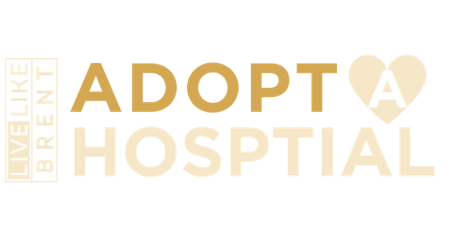 Adopt a Hospital