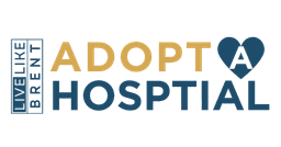 Adopt a Hospital